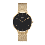 Petite Evergold
