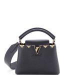 Capucines Bag Leather with Embellished Detail Mini