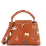 Capucines Bag Limited Edition Grace Coddington Catogram Calfskin BB