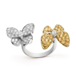 Two Butterfly Between the Finger ring