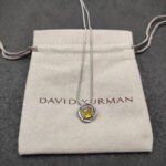 Petite Chatelaine® Necklace Sterling Silver with Citrine, 10mm