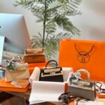 Mini Kelly 20 Bag